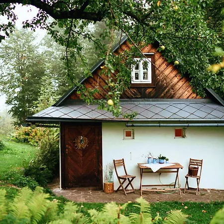 Zenovna - Zděná Chaloupka Na Krásné