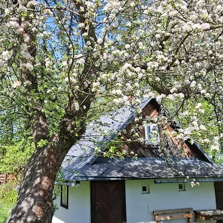 Zenovna - Zdena Chaloupka Na Krasne Krásná